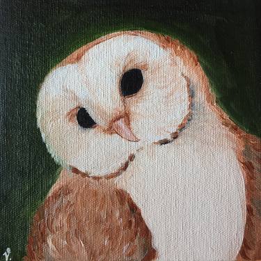 Barn Owl thumb