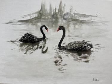 Black Swans thumb