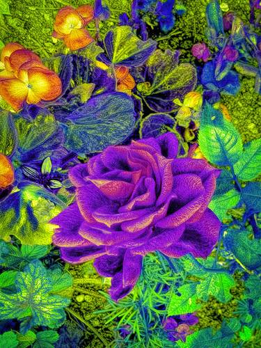 Original Floral Photography by Peter Teuschel