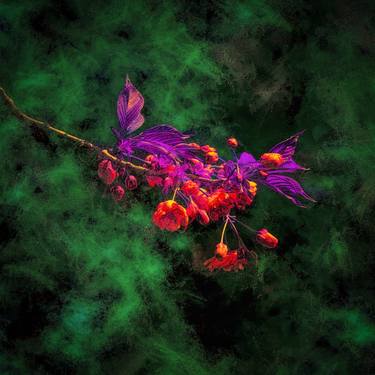 Original Fine Art Floral Photography by Peter Teuschel