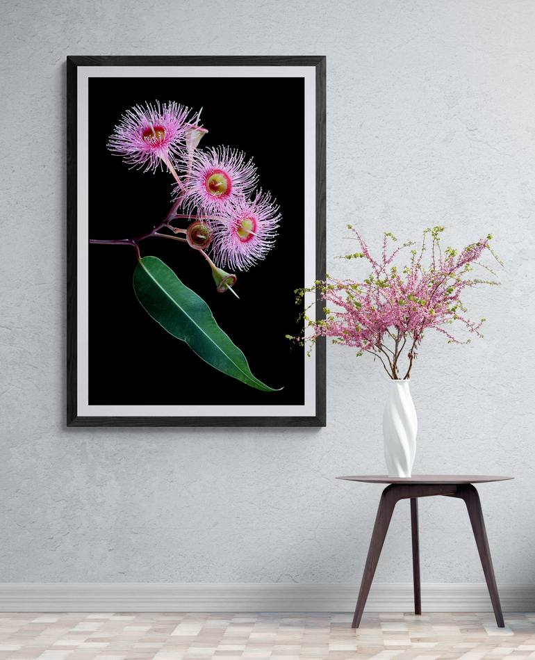 Original Contemporary Floral Photography by Nadia Culph