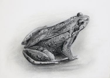 Wet frog thumb