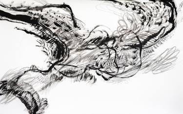 Original Abstract Expressionism Abstract Drawings by Laura Williams