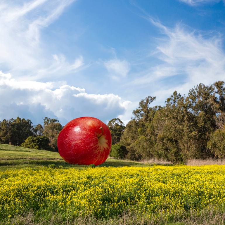 Original Conceptual Landscape Photography by Perry Hambright