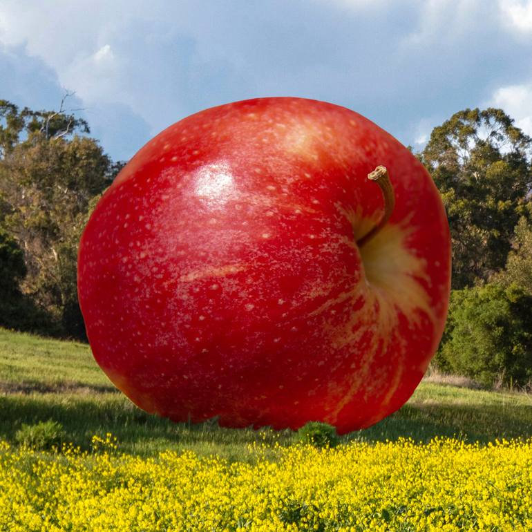 Original Conceptual Landscape Photography by Perry Hambright