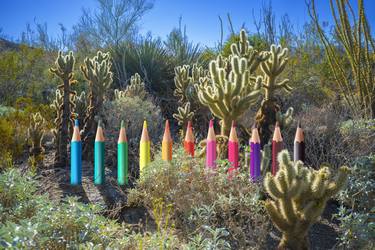 Color Among Cactus - Limited Edition of 50 thumb