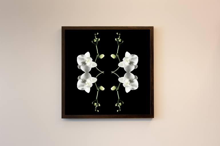 Original Conceptual Botanic Photography by Ulla Czekus