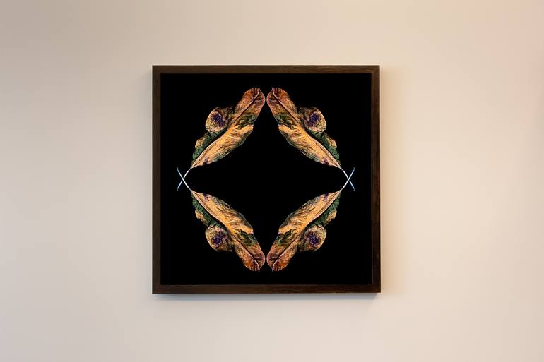 Original Conceptual Botanic Photography by Ulla Czekus