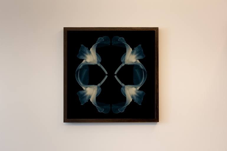 Original Fine Art Botanic Photography by Ulla Czekus