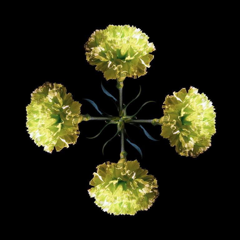 Print of Fine Art Botanic Photography by Ulla Czekus