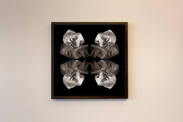 Original Conceptual Botanic Photography by Ulla Czekus