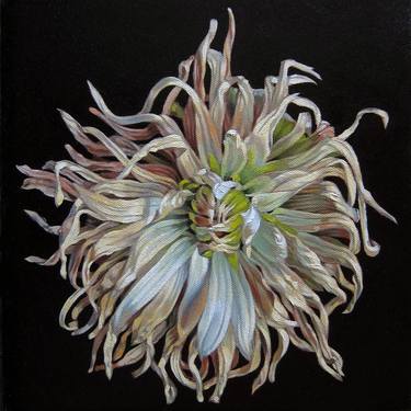 Original Floral Paintings by Anna Bembenek