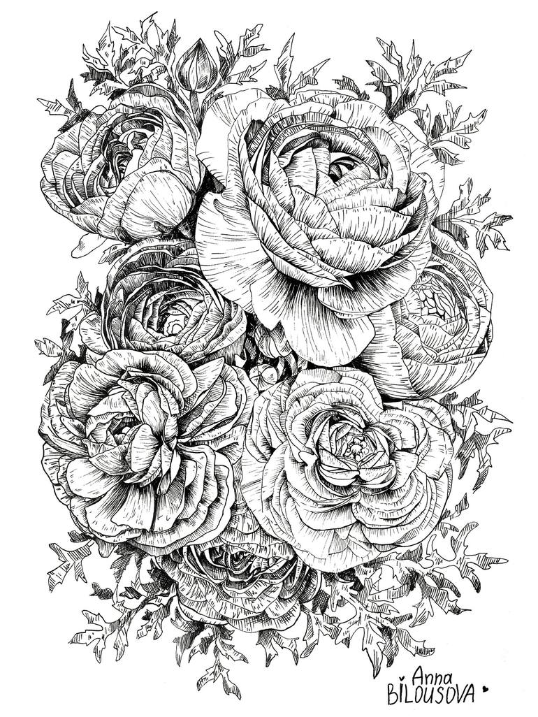 Ranunculus black and white line flower graphic drawing