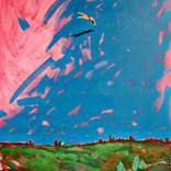 Collection New This Week 02-09-2026