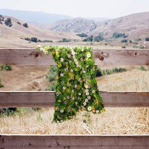 Hung Dry