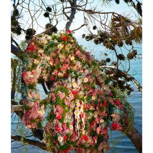 Collection Art for the Photography Lover