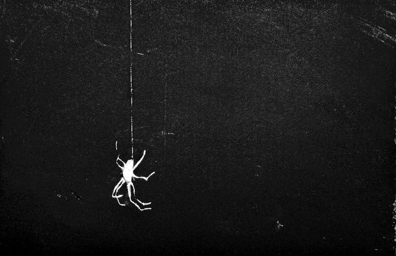 Original Minimalism Animal Printmaking by Daria Kraplak