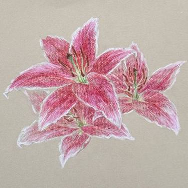 Original Classicism Floral Drawings by Daria Kraplak