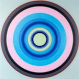 Spin Cycle by Paul Westacott