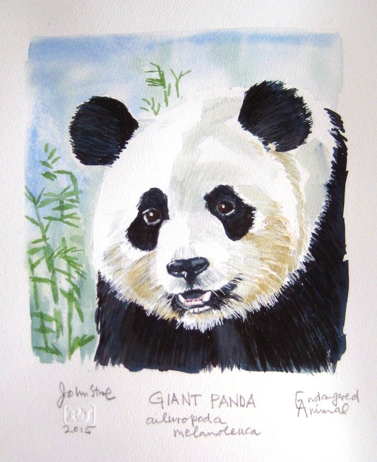 GIANT PANDA - ENDANGERED ANIMAL SERIES Painting by Ray Johnstone ...