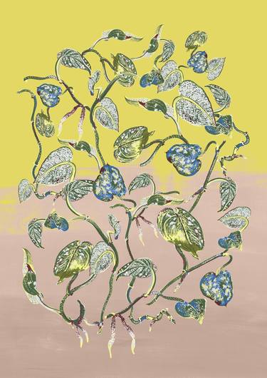 Original Illustration Botanic Digital by Ailsa Munro