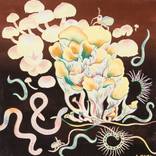 Soil Social by Ailsa Munro