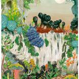 Slugs at the Beech, A1 by Ailsa Munro