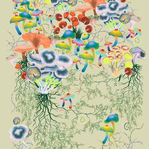 Collection New This Week 09-08-2025