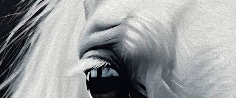 Original Photorealism Animal Digital by Mauricio Fraga