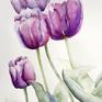 Original Watercolor Painting, Tulip Spring Garden Decor Watercolour - The Others Purple Tulips
Water-colour painting on Windsor & Newton water-colour paper
Background light used to emphasize the natural composition of the tulip garden.