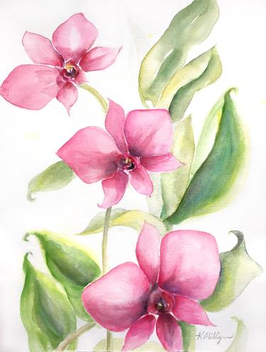Original Fine Art Floral Paintings by Kerry Milligan