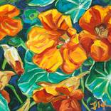 Nasturtium Salon by Lauren Forcella