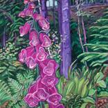 Wild Foxglove by Lauren Forcella