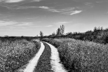 Soybean field - Limited Edition of 10 thumb