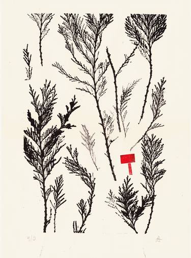 Print of Illustration Tree Printmaking by Olesia Kryvolapova