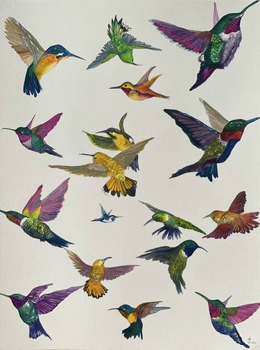 Hummingbirds in Flight thumb