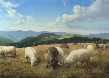 Mountains Sheep Grazing Summer Clean Air thumb