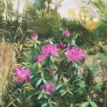 Rhododendrons in the garden. by Gabriel Corcuera Zubillaga