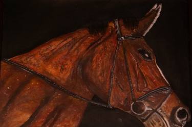 Original Photorealism Horse Paintings by SUBHASH N