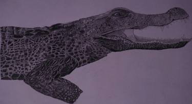 Original Fine Art Animal Drawings by SUBHASH N