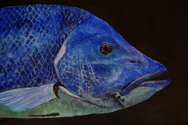 Original Fish Paintings by SUBHASH N