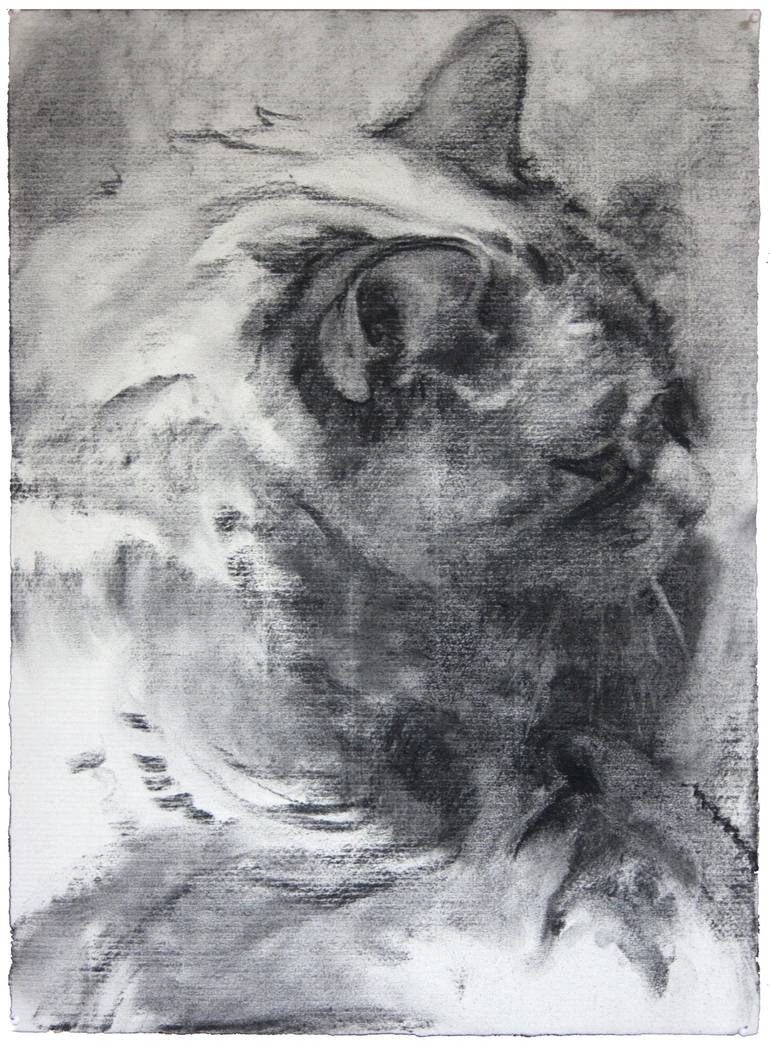 Dead Cat Drawing by Michael Davis | Saatchi Art