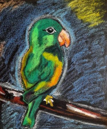 Parrot Art Oil Pastel Drawing thumb