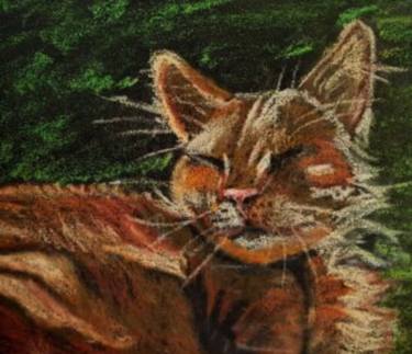 Cat Oil Pastel Drawing thumb