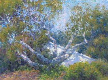 Original Tree Paintings by Susan Sarback