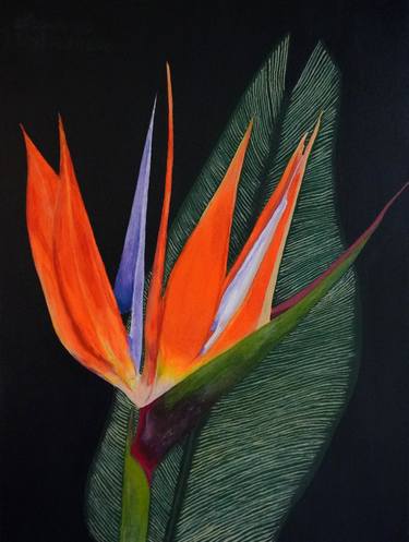 Print of Expressionism Botanic Paintings by Leonardo Nogueira