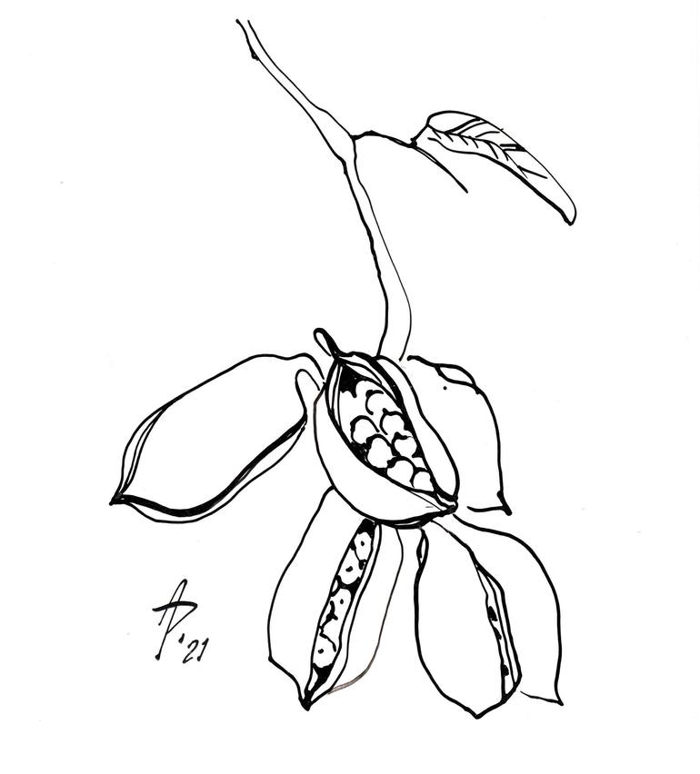 Original Figurative Botanic Drawing by Anastasia Potelova
