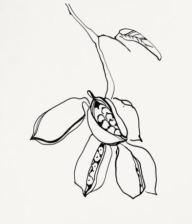 Botanical sketch of brunch thumb