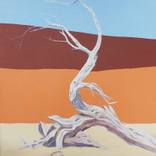 Collection Country Spotlight: Australia