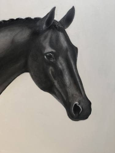 Original Fine Art Horse Painting by sass hardwick